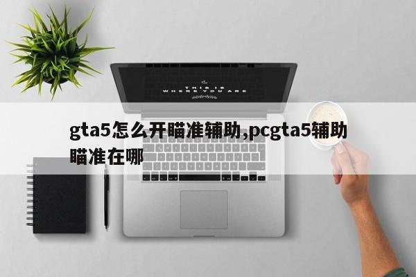gta5怎么开瞄准辅助,pcgta5辅助瞄准在哪
