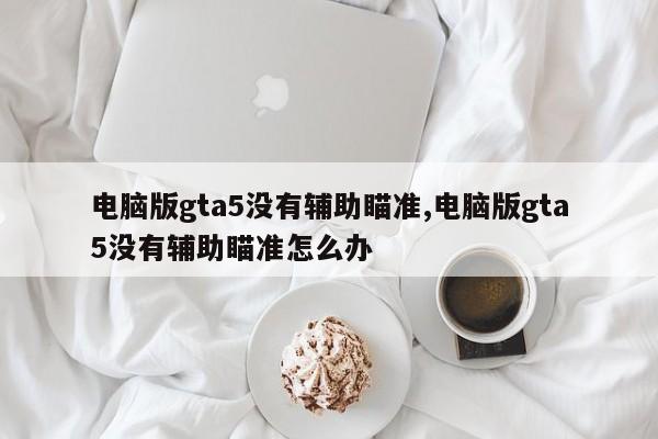 电脑版gta5没有辅助瞄准,电脑版gta5没有辅助瞄准怎么办