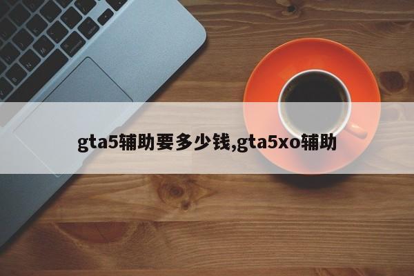 gta5辅助要多少钱,gta5xo辅助