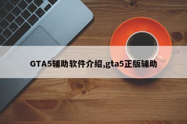 GTA5辅助软件介绍,gta5正版辅助