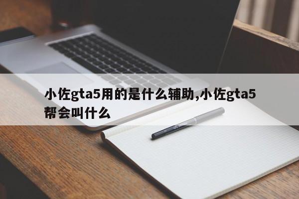 小佐gta5用的是什么辅助,小佐gta5帮会叫什么