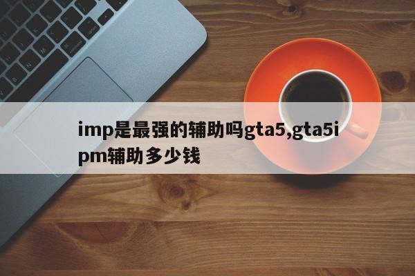 imp是最强的辅助吗gta5,gta5ipm辅助多少钱