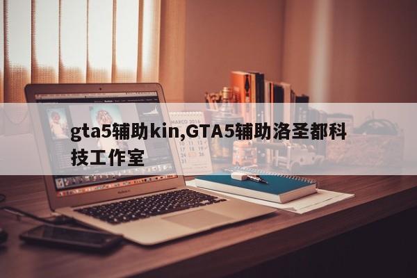 gta5辅助kin,GTA5辅助洛圣都科技工作室