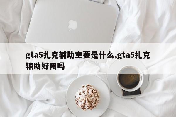 gta5扎克辅助主要是什么,gta5扎克辅助好用吗