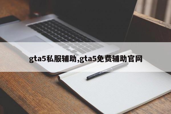 gta5私服辅助,gta5免费辅助官网