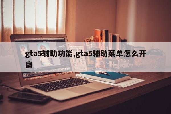 gta5辅助功能,gta5辅助菜单怎么开启