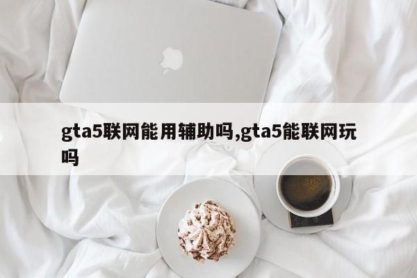 gta5联网能用辅助吗,gta5能联网玩吗