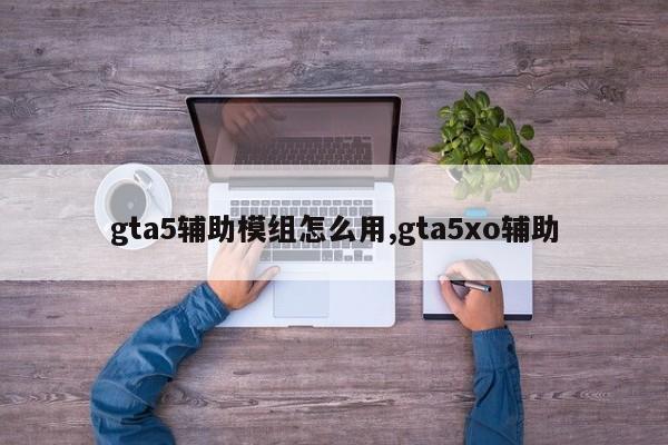 gta5辅助模组怎么用,gta5xo辅助