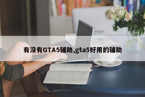 有没有GTA5辅助,gta5好用的辅助