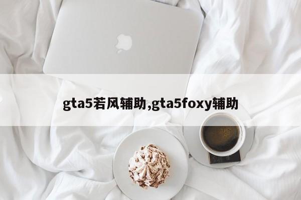 gta5若风辅助,gta5foxy辅助